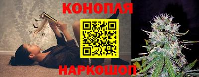 соль ск Лесосибирск