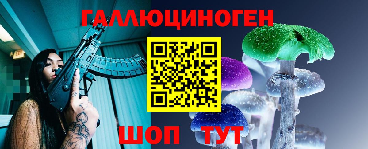 Галлюциногенные грибы Psilocybine cubensis Каменск-Уральский